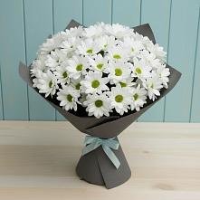 Букет цветов из:  Хризантемы в Лабинске
