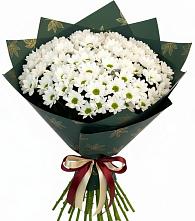 Букет цветов из:  Хризантемы в Лабинске