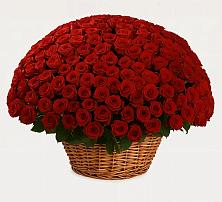 Премиум букет из: Розы в Лабинске